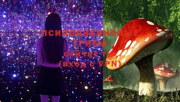 марки lsd Михайлов